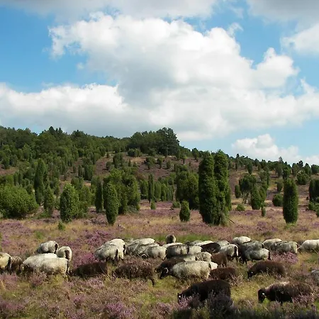 Bockelmann Bispingen