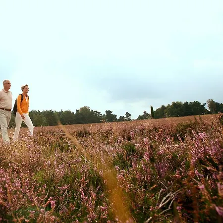 Bockelmann Bispingen