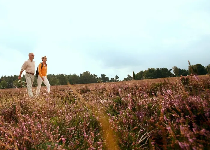 Bockelmann Bispingen